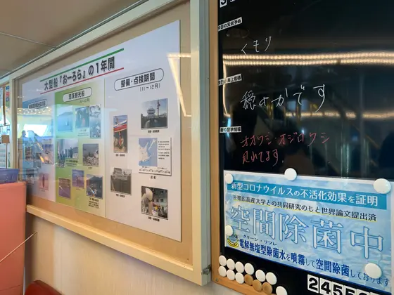 スポット内のおすすめ
