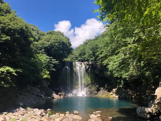 천제연 폭포（天帝淵滝）