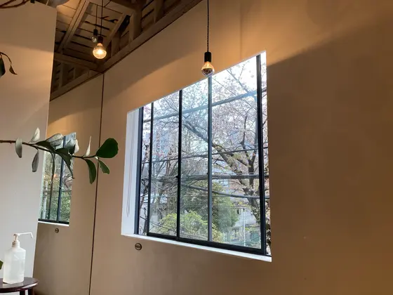 森の中感は薄いんですが