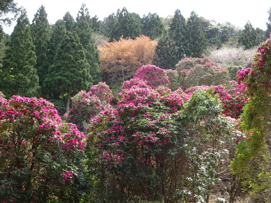 スポット内のおすすめ