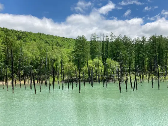 あまり青くない日でした。