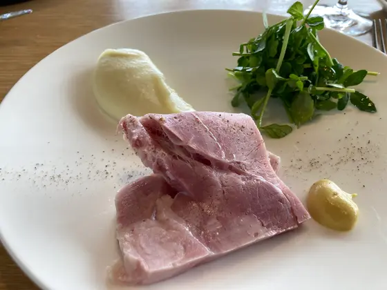 コーンドポーク