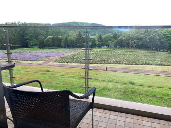 部屋のバルコニーから庭を臨む