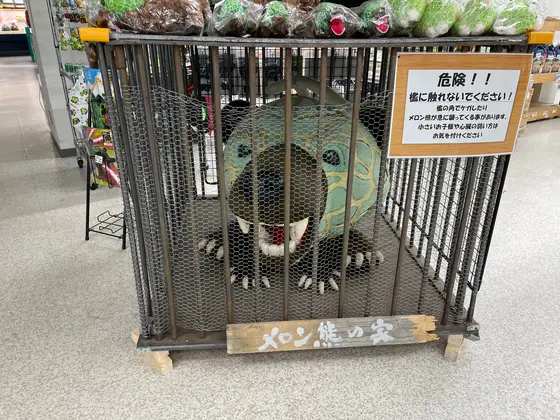 人気のメロン熊