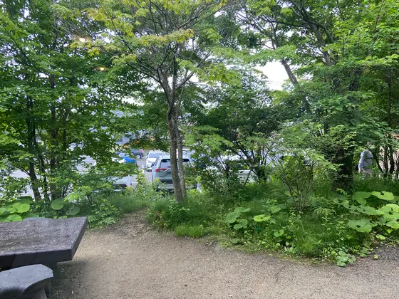 スポット内のおすすめ