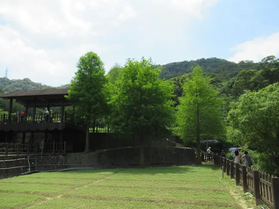 樟樹步道ハイキングロード