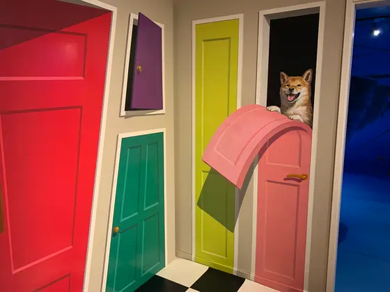 犬のアート🐕