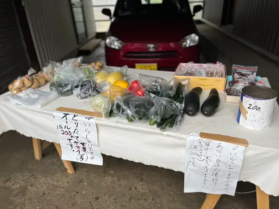 スポット内のおすすめ