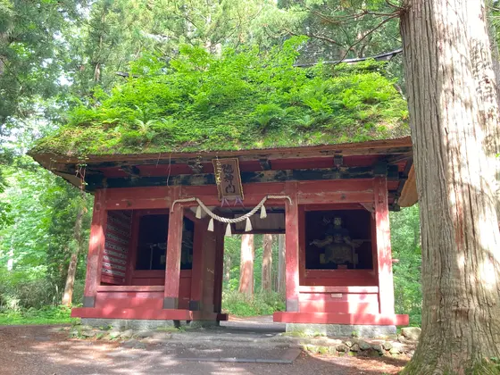 もさもさだなぁ