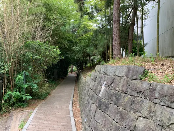散策路らしい風景