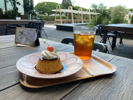 硬めのカスタードプリン