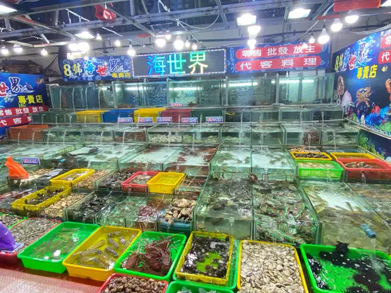 八斗子観光漁港