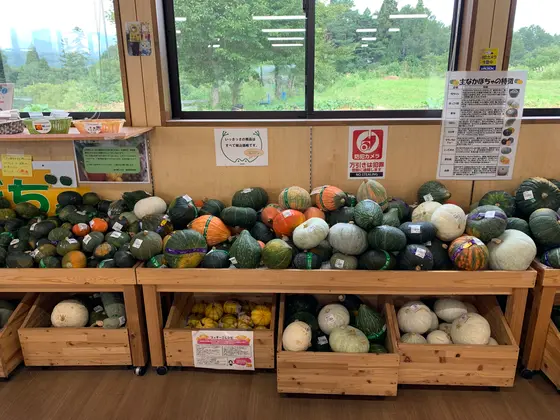 かぼちゃ🎃