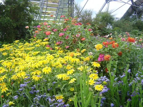 季節の花々