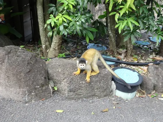 スポット内のおすすめ
