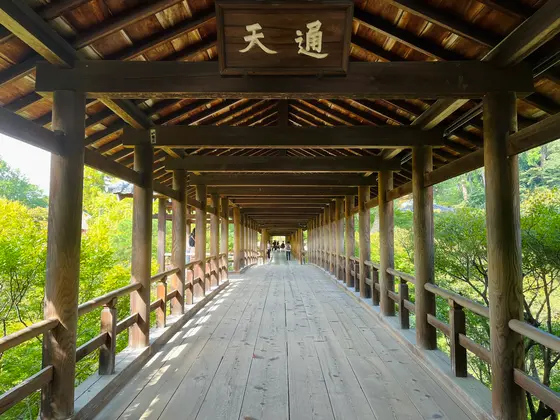 通天橋