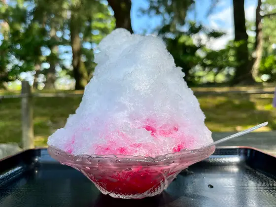 清水亭出世茶屋にてカキ氷
