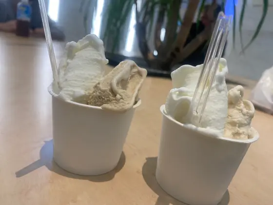 スポット内のおすすめ