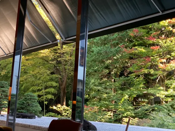 日焼けが下りてる状態