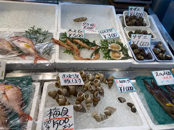 スポット内のおすすめ