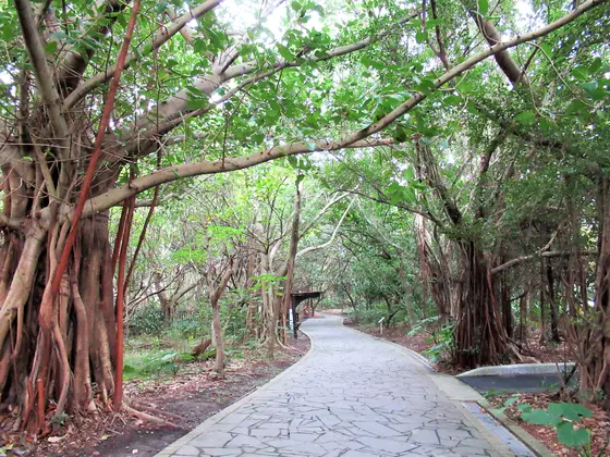 関渡自然公園