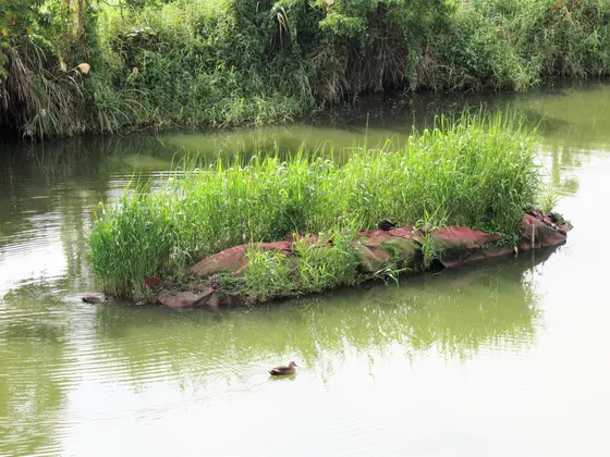 関渡自然公園