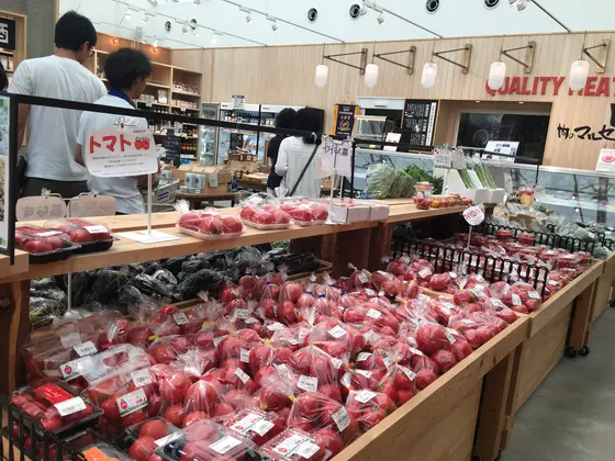 スポット内のおすすめ
