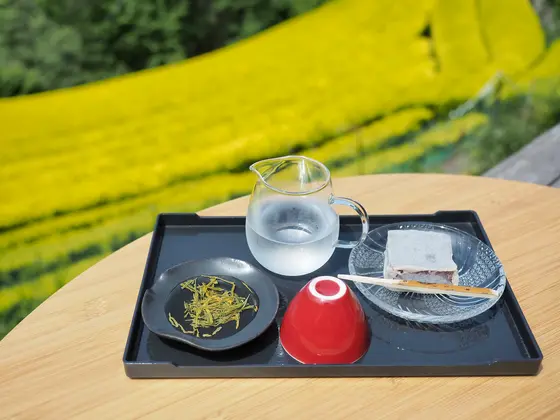 スポット内のおすすめ