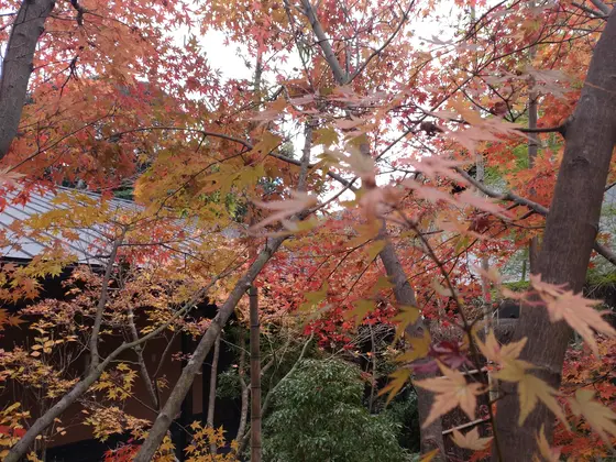 いや〜、素晴らしい♪