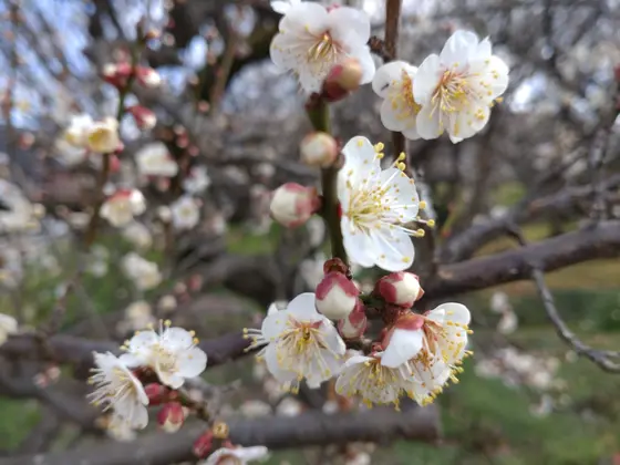 観光施設もポチポチ
