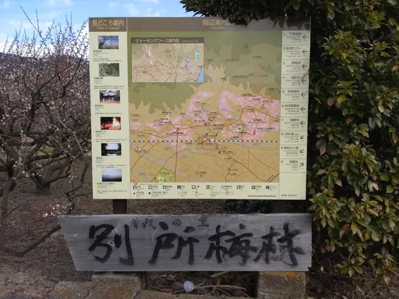 エリアマップ。