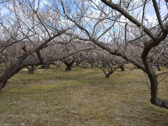帰路へ向かいます。