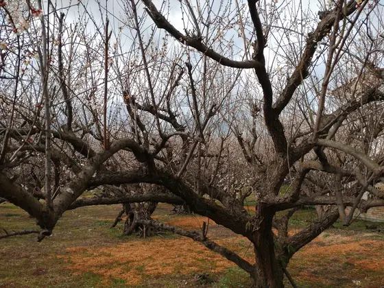 まぁ、それでもね。