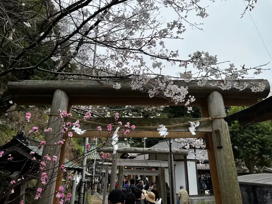 本社