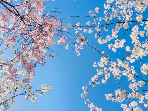 空高く❗️