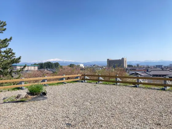 上に登れます
