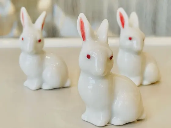 こんなかわいいのも🎶