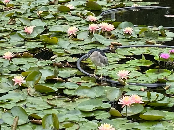 国立台湾芸術教育館