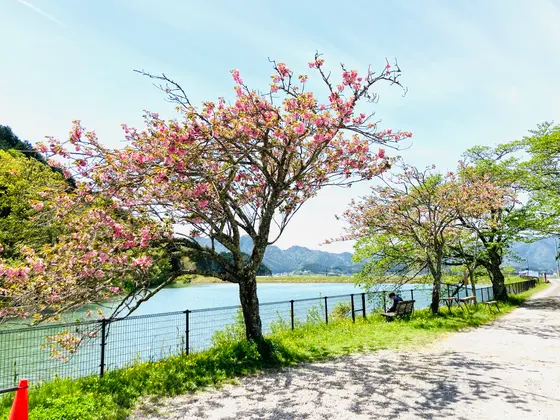 すくそばの溜池のほとりが絶好のほっこりポイント