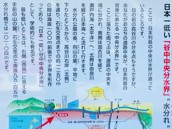 ここ、谷中中央分水界なんですって