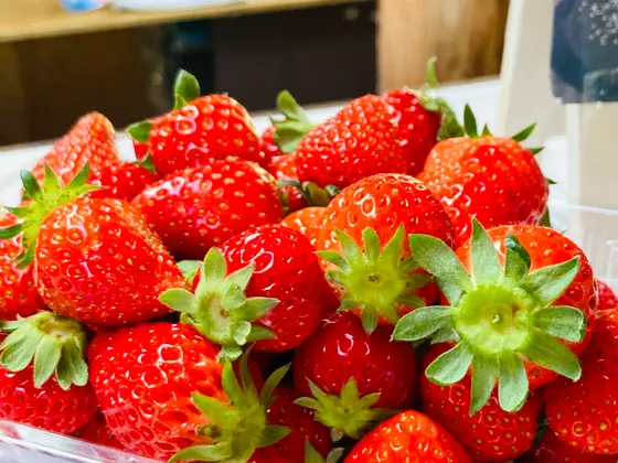 3種のいちご盛り合わせ🍓🍓🍓