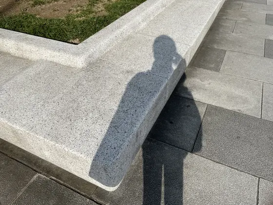 ベンチ