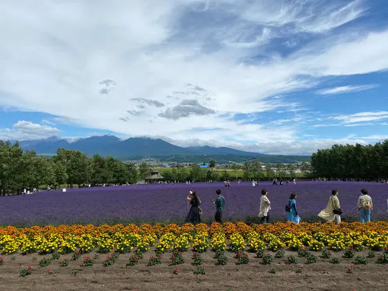 スポット内のおすすめ