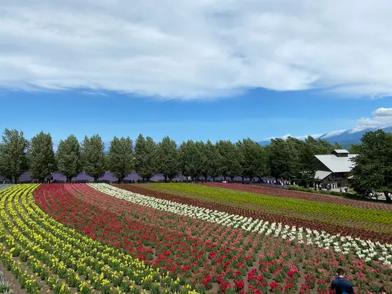 スポット内のおすすめ