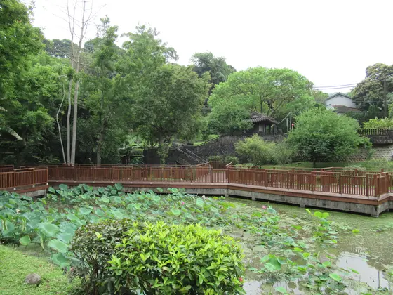 至徳園 蓮池と翠堤曲橋