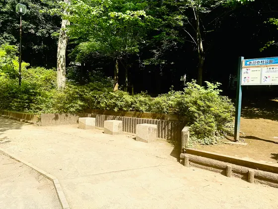 ベンチもいくつかあります