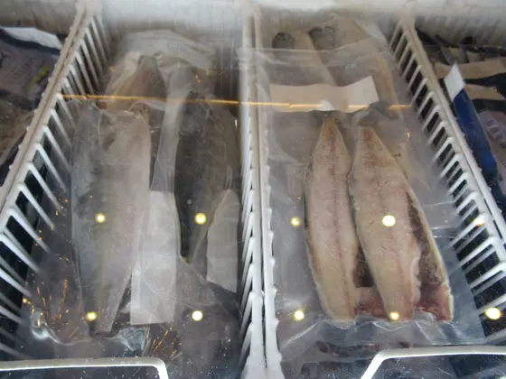 大鯖魚夢工廠
