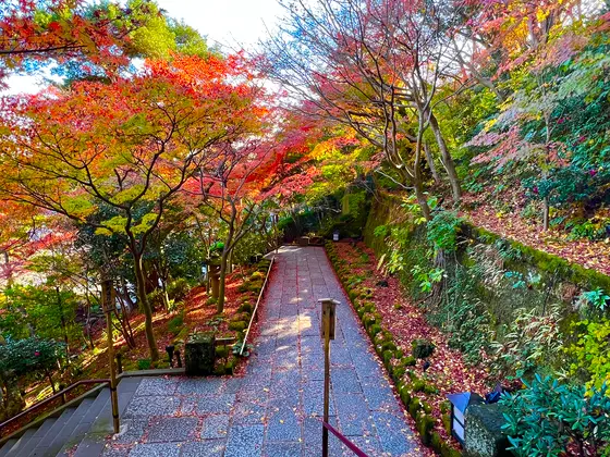 紅葉