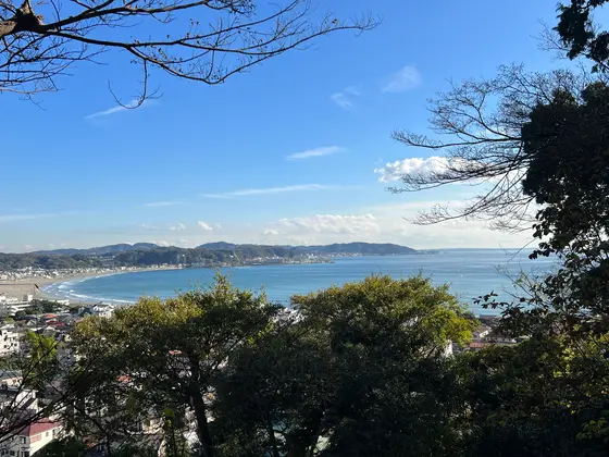 海