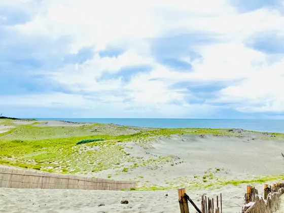 海が見えた